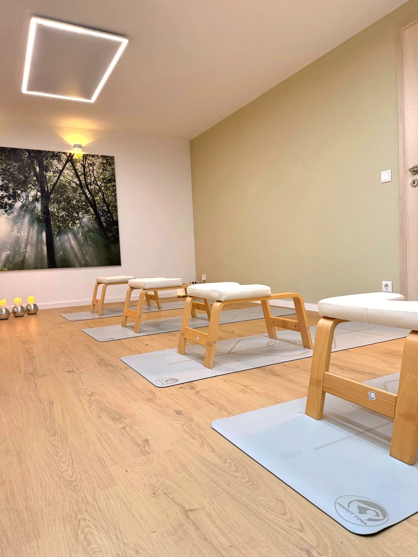 FeetUp®-Trainer mit weißen Polstern auf Yogamatten im Studio